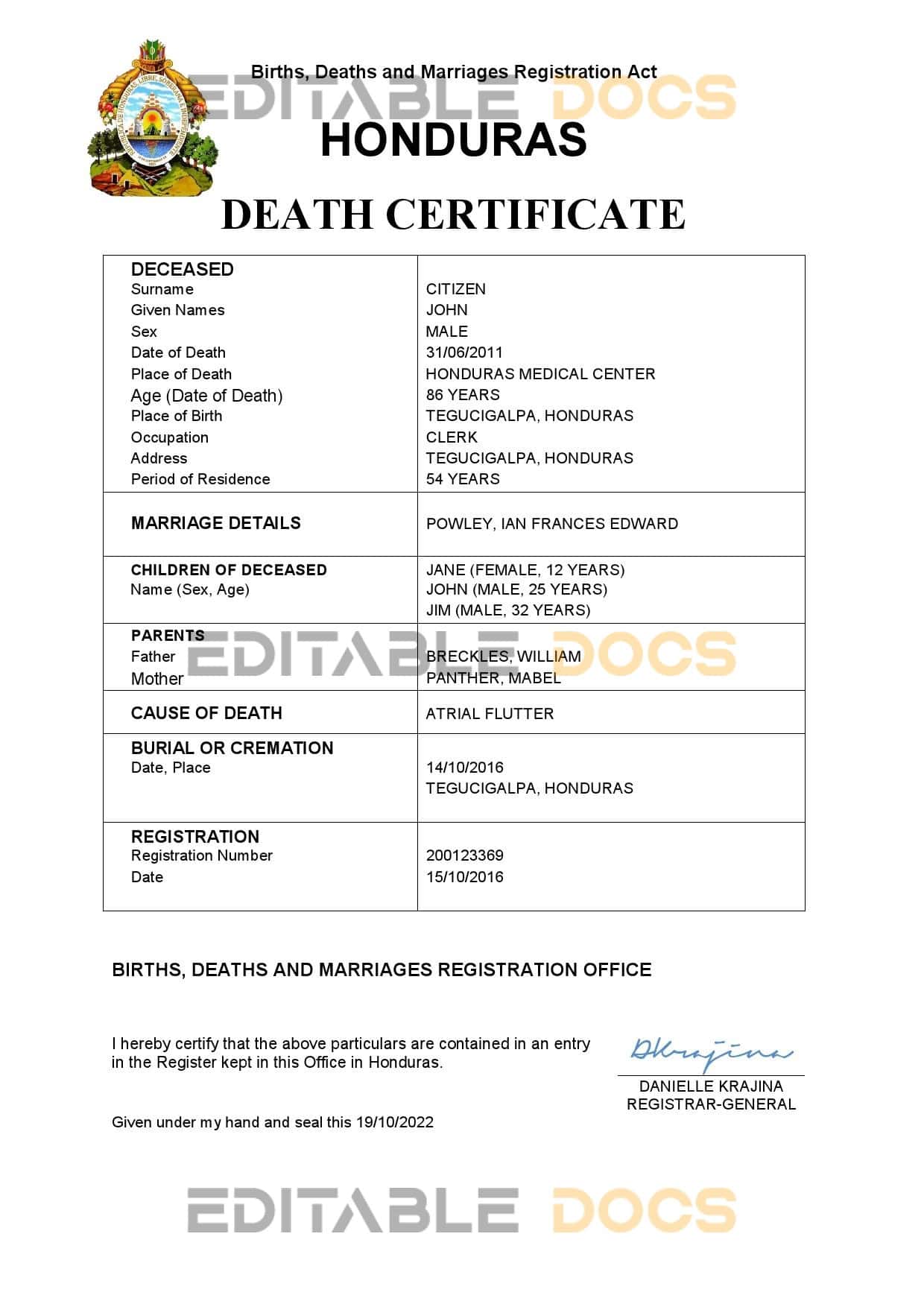 Honduras vital record death certificate Word and PDF template Honduras vital record death certificate Word and PDF template