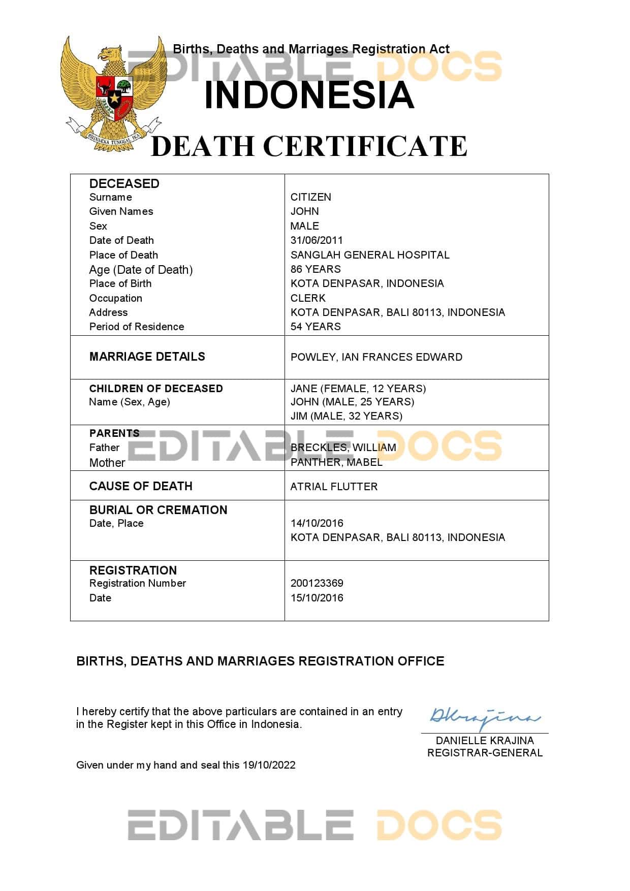 Indonesia vital record death certificate Word and PDF template Indonesia vital record death certificate Word and PDF template