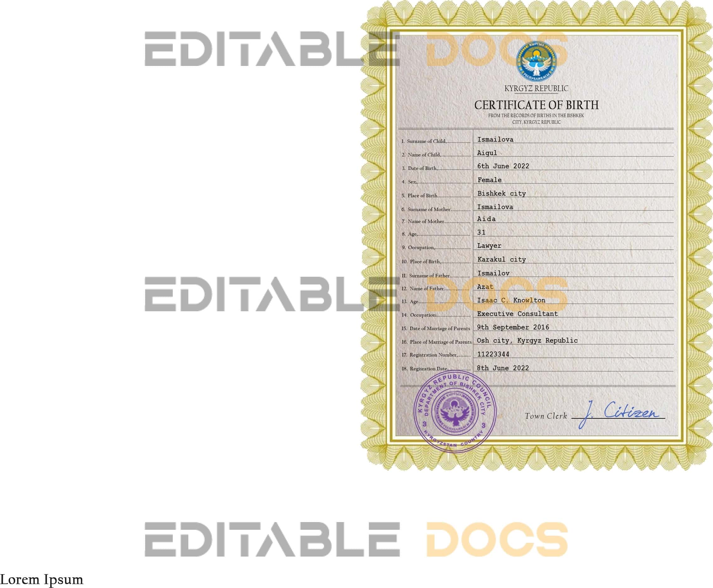 Kyrgyzstan-vital-record-birth-certificate-PSD-template.jpg Authentic Kyrgyzstan Birth Certificate Template