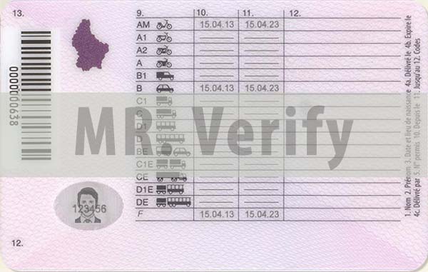Luxembourg driver license for verification
