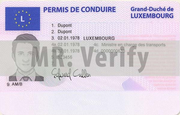 Luxembourg driver’s license editable template
