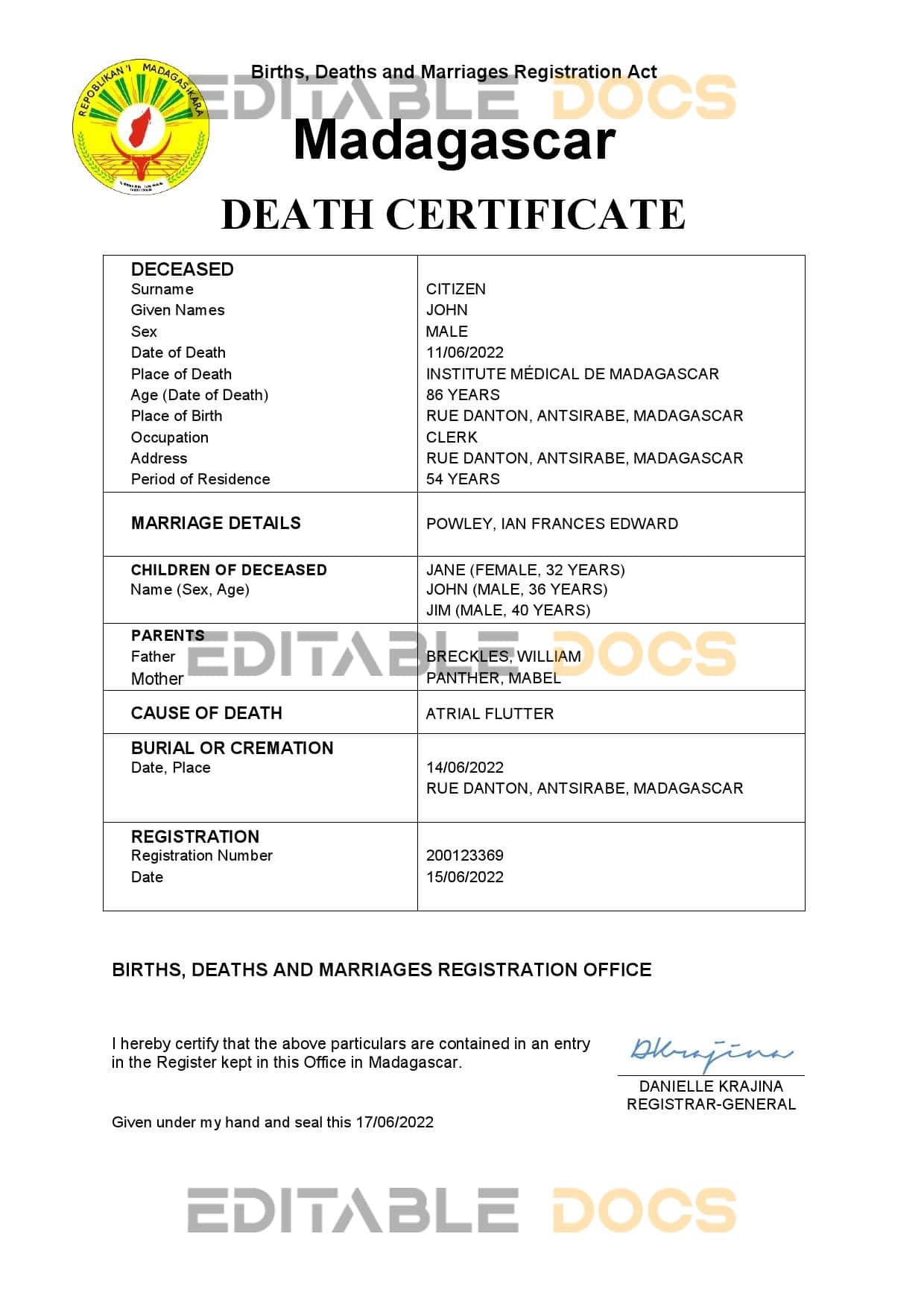 Madagascar vital record death certificate Word and PDF template Madagascar vital record death certificate Word and PDF template