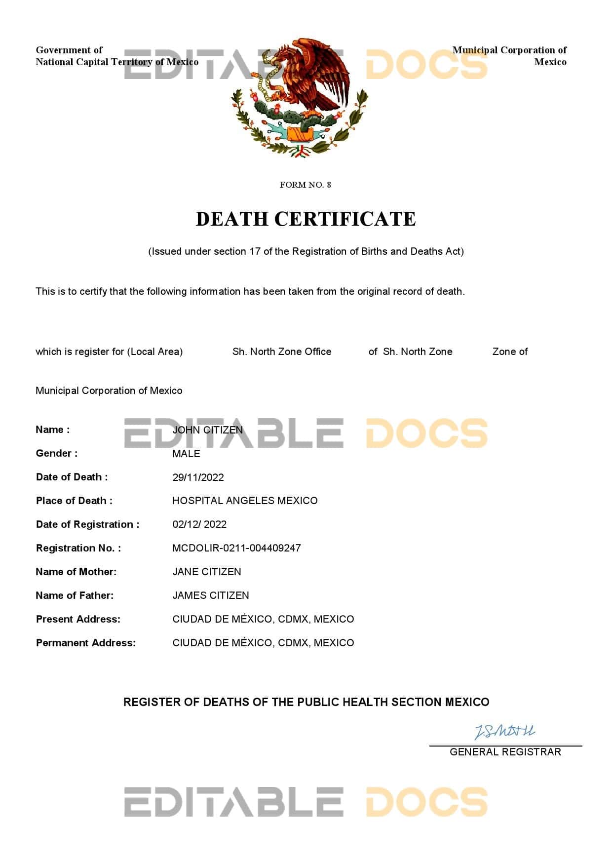 Mexico vital record death certificate Word and PDF template Mexico vital record death certificate Word and PDF template