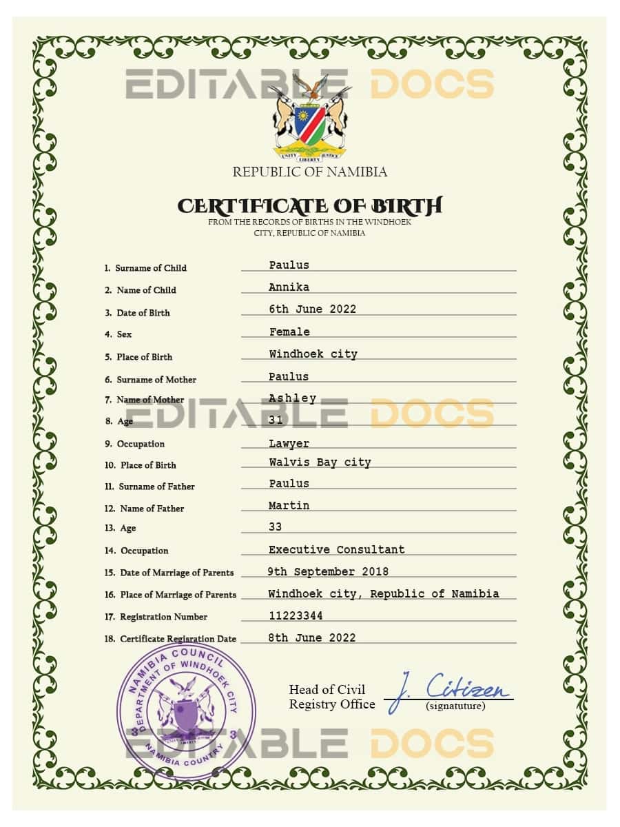Namibia-vital-record-birth-certificate-PSD-template-fully-editable.jpg Namibia vital record birth certificate PSD template