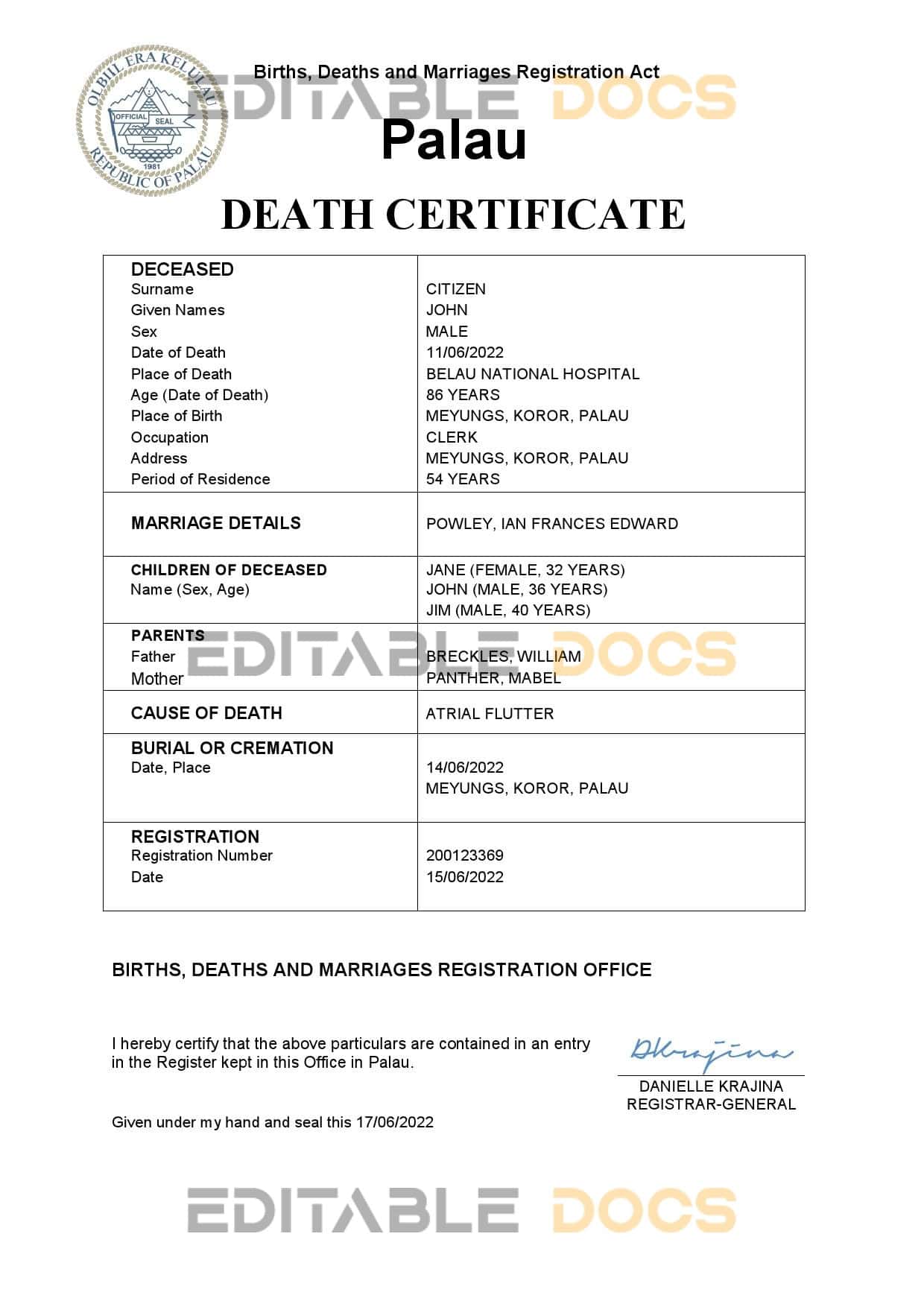 Palau vital record death certificate Word and PDF template
