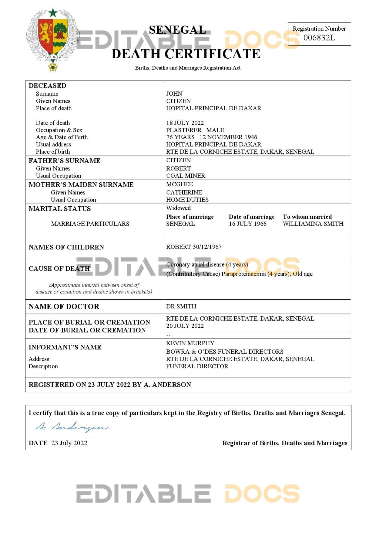 Senegal vital record death certificate Word and PDF template Senegal vital record death certificate Word and PDF template