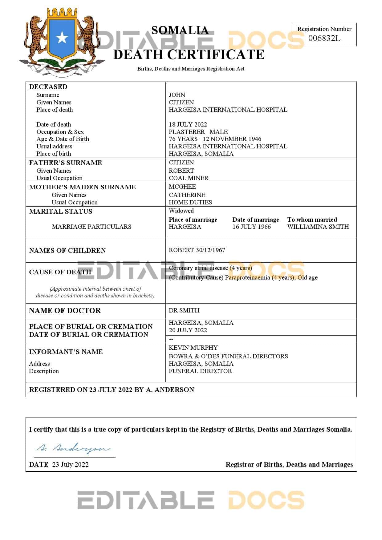 Somalia vital record death certificate Word and PDF template