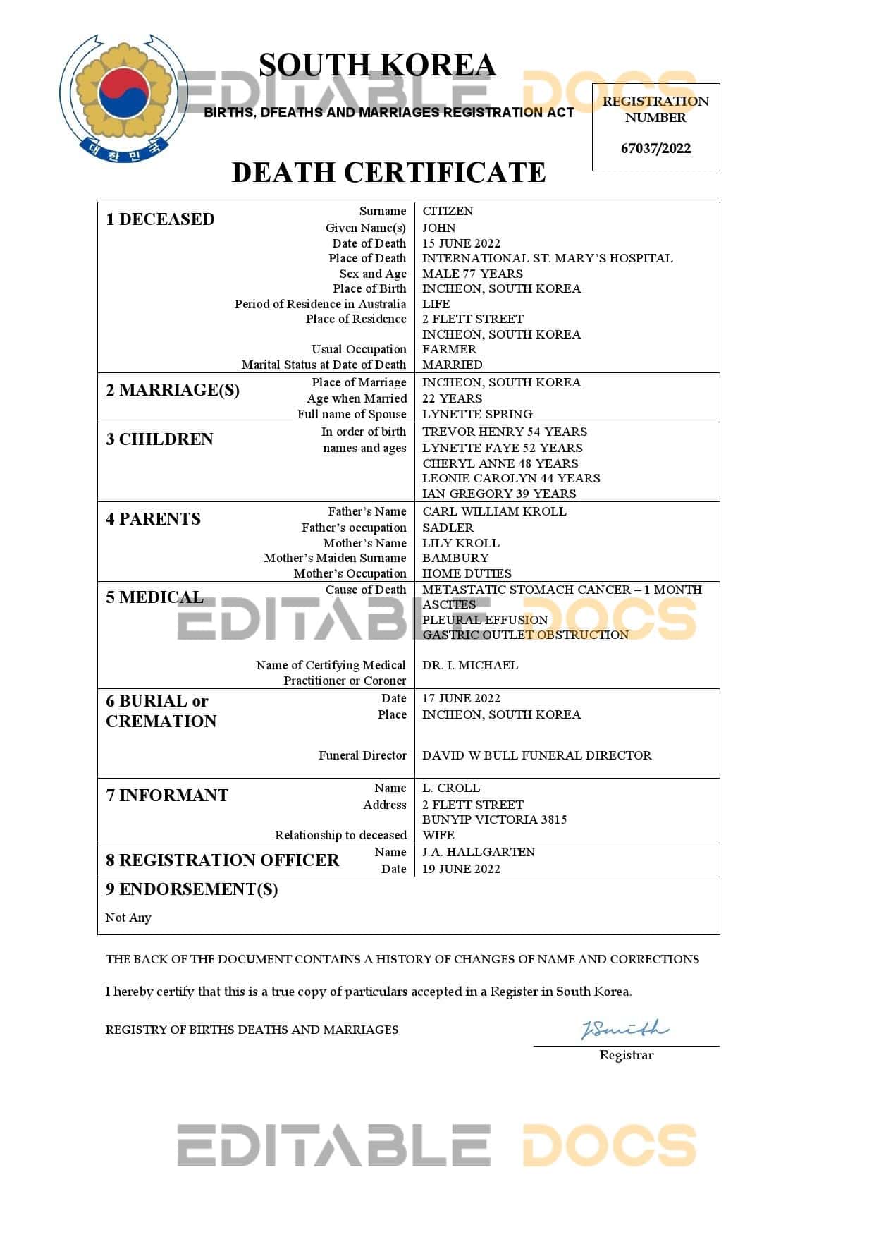 South Korea vital record death certificate Word and PDF template