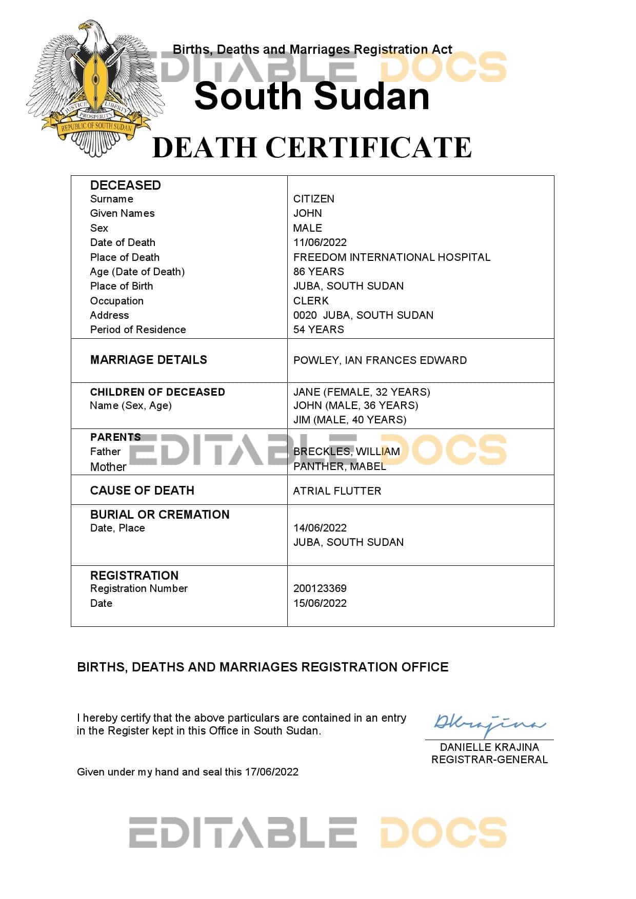 South Sudan vital record death certificate Word and PDF template