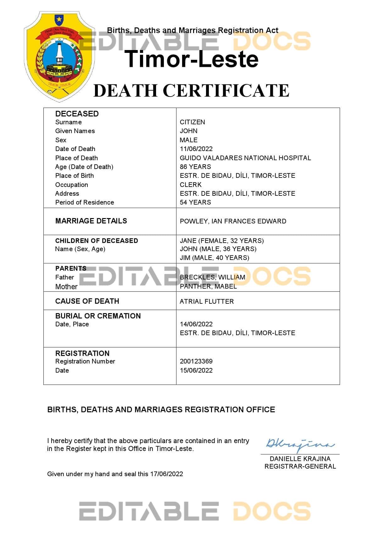 Timor-Leste vital record death certificate Word and PDF template