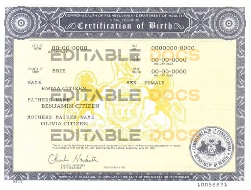 USA-Pennsylvania-state-birth-certificate-template-in-PSD-format-fully-editable.jpg USA Pennsylvania state birth certificate template in PSD format