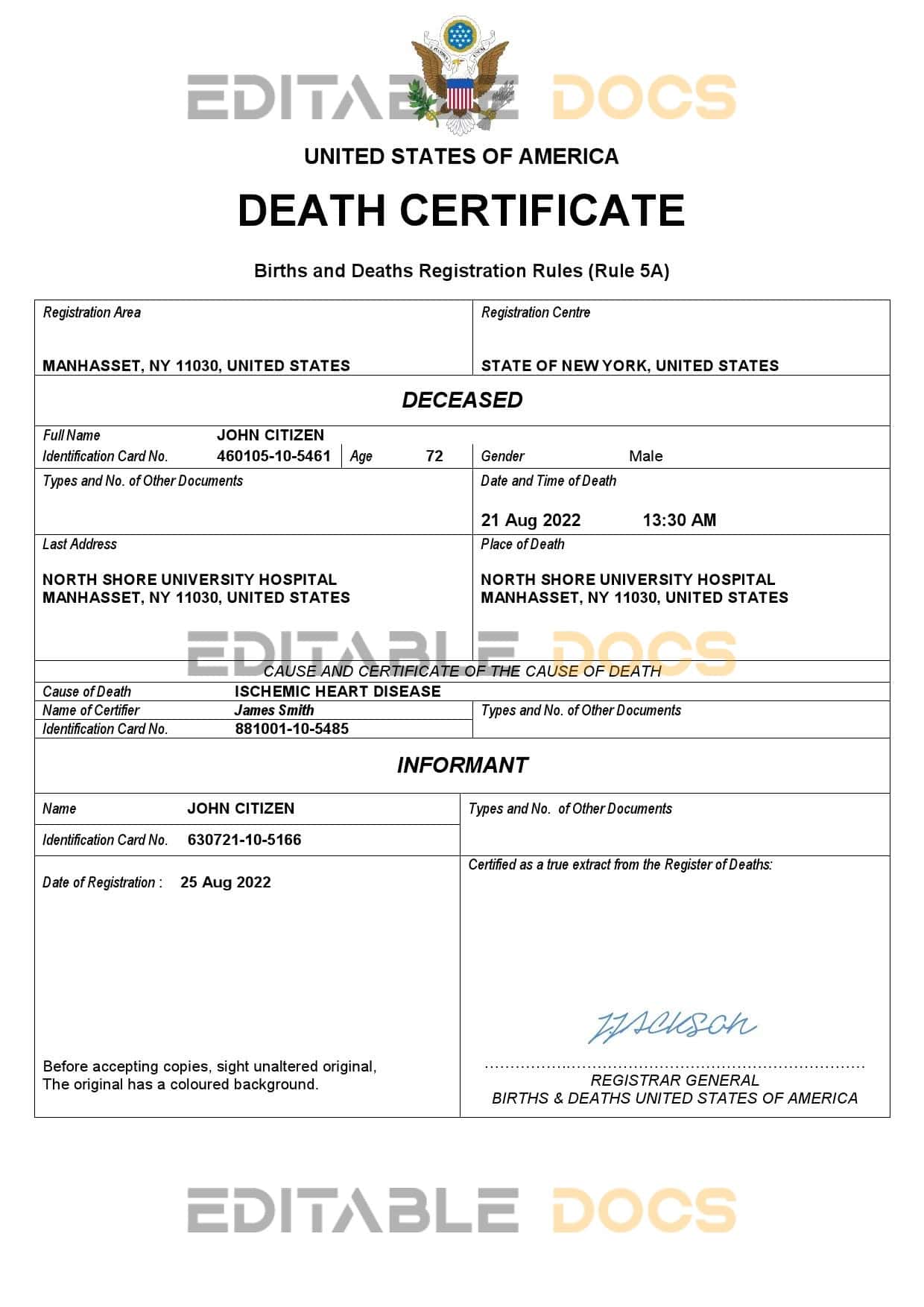 USA vital record death certificate Word and PDF template