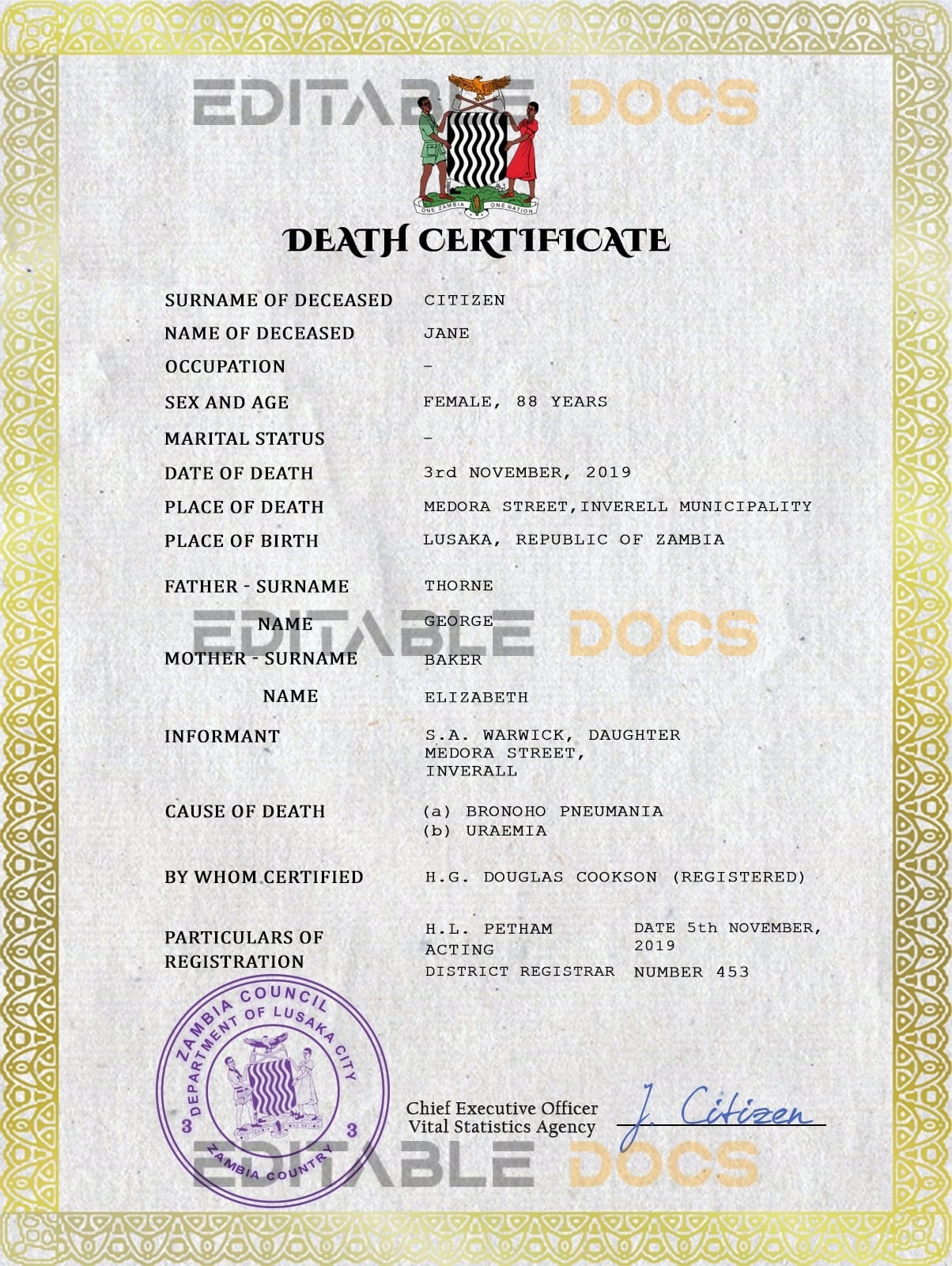 Zambia vital record death certificate PSD template Zambia vital record death certificate PSD template