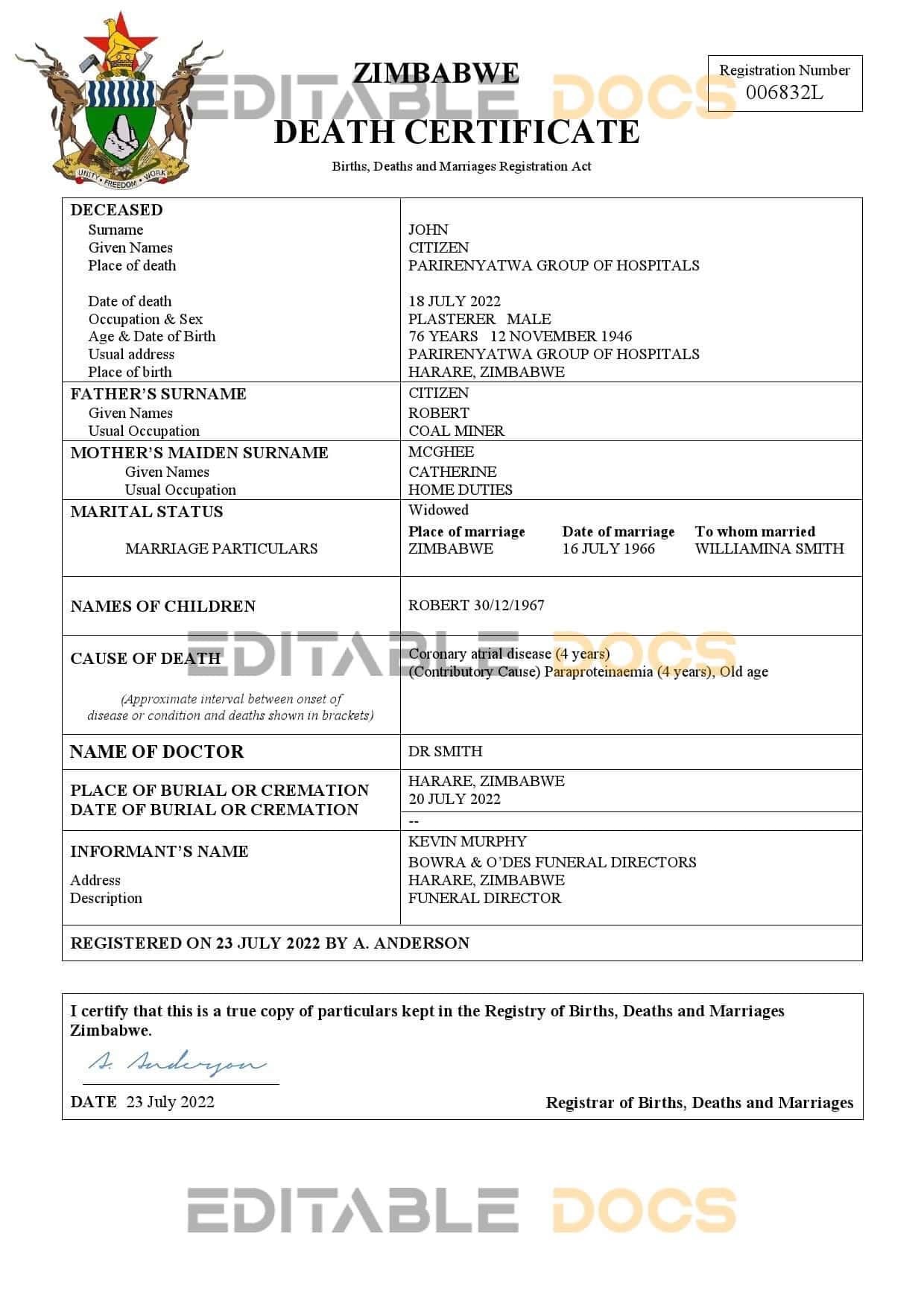 Zimbabwe vital record death certificate Word and PDF template