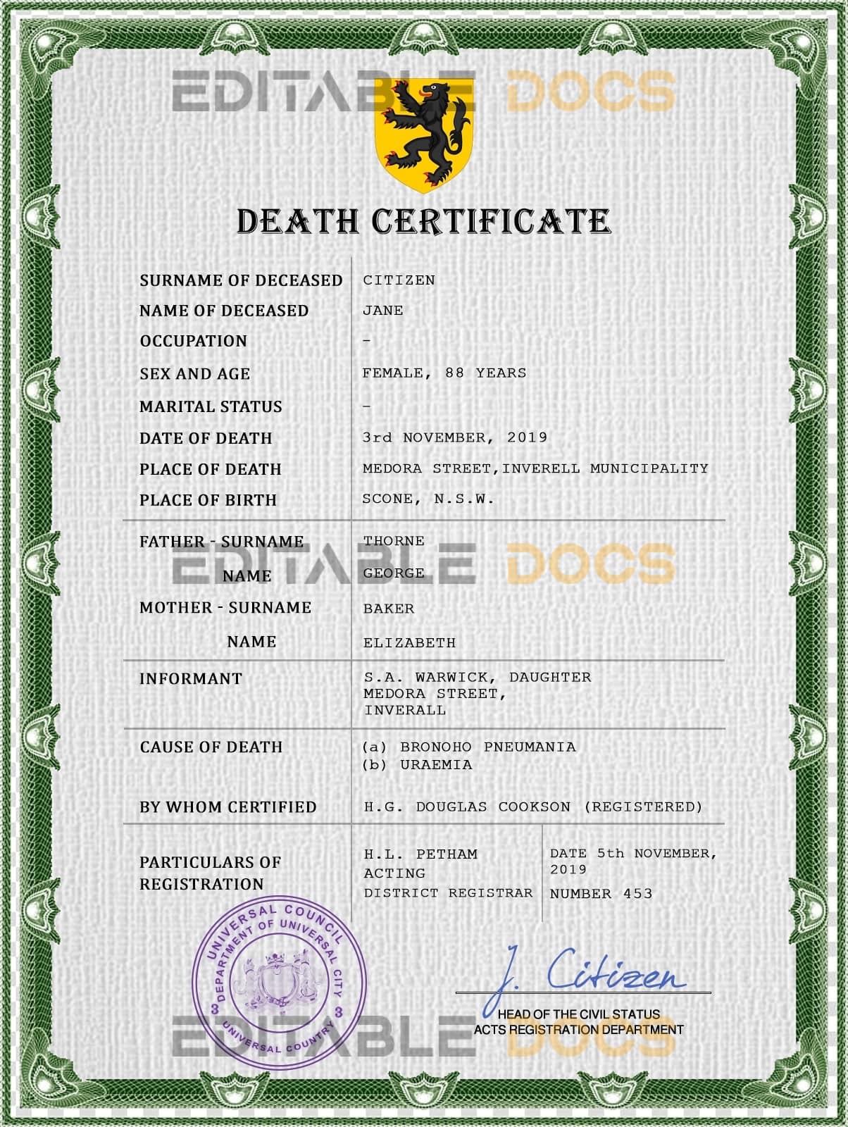 Customizable Wisdom Vital Record Universal Death Certificate PSD Templates