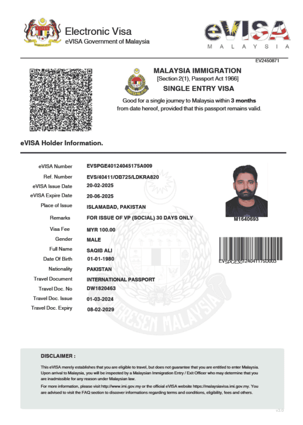 malaysia evisa word template