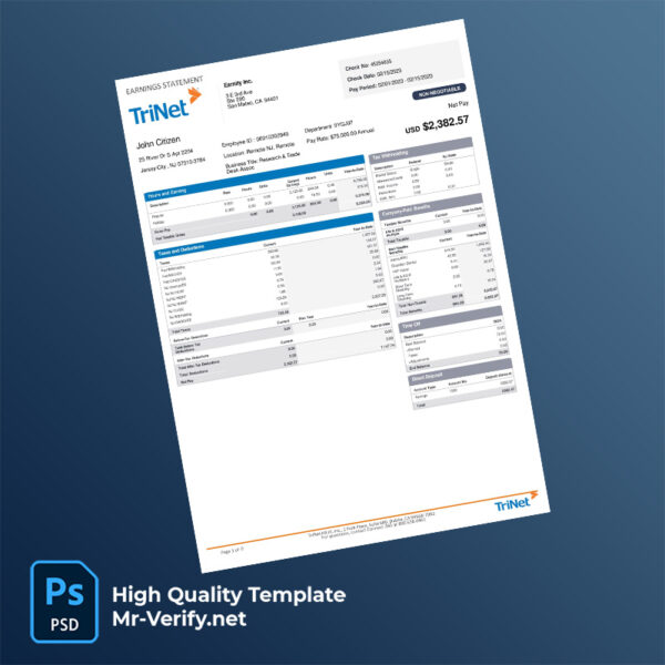TriNet earning statement word and pdf template