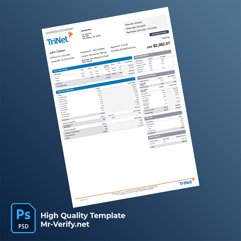 TriNet-earning-statement-word-and-pdf-template-r TriNet earning statement word and pdf template