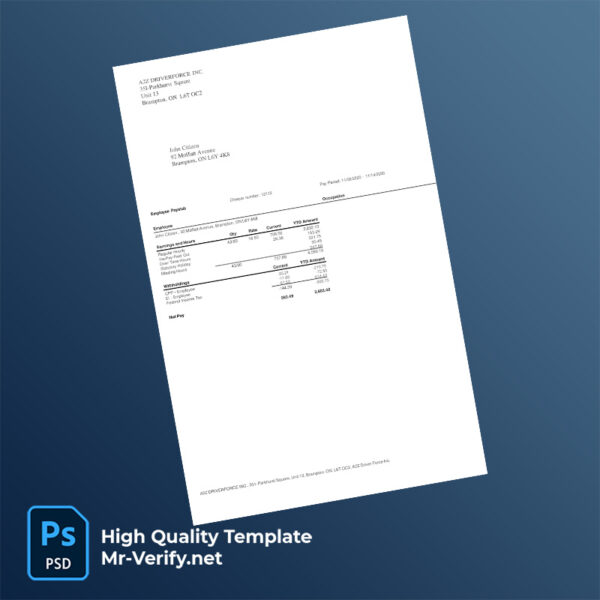Editable A2Z Driverforce Inc Pay Stub Word & PDF Template - Instant!