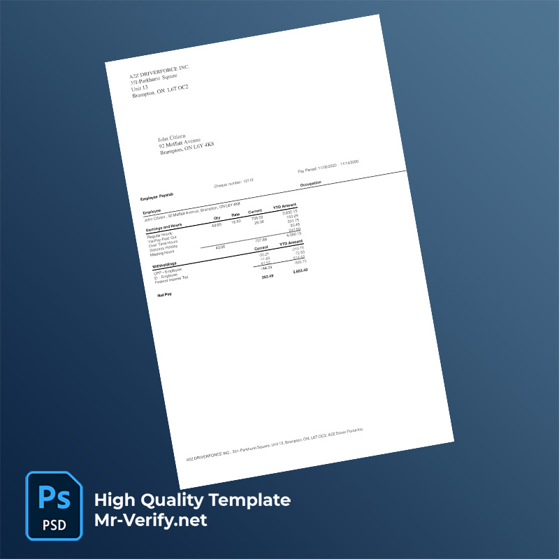 A2Z-Driverforce-Inc-pay-stub-word-and-pdf-template-m Editable A2Z Driverforce Inc Pay Stub Word & PDF Template - Instant!
