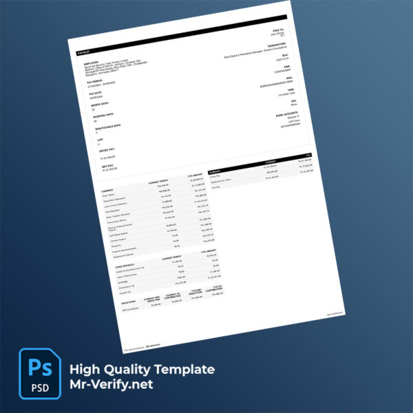 Abnormal-Security-India-Private-Limited-pay-slip-word-and-pdf-template-m Abnormal Security India Private Limited pay slip word and pdf template