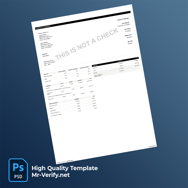 Blonde-Bandit-LLC-earning-statement-word-and-pdf-template-m Blonde Bandit LLC earning statement word and pdf template
