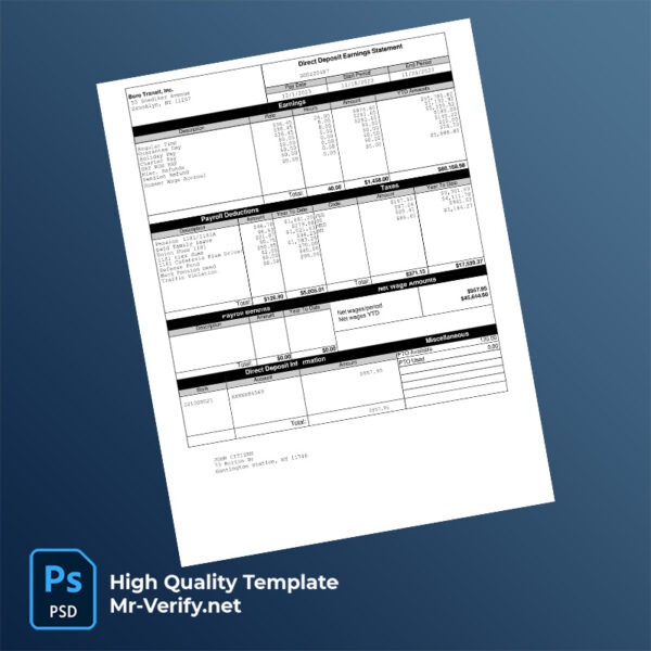 Boro-Transit-Inc-earning-statement-word-and-pdf-template-m Boro Transit Inc earning statement word and pdf template