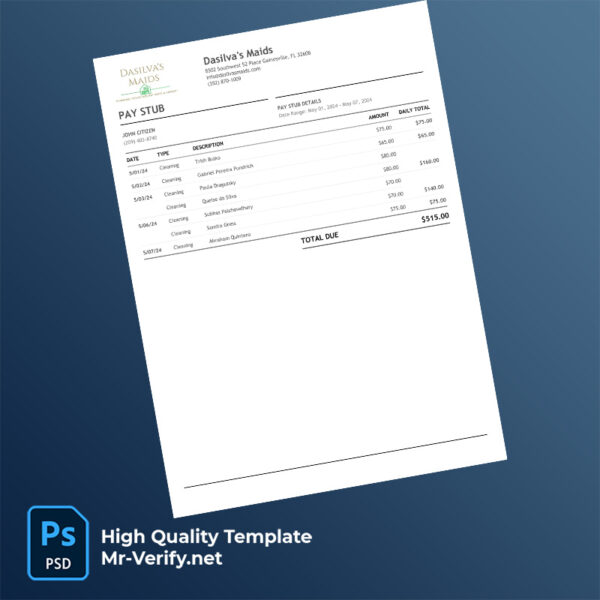 Dasilva's Maids pay stub word and pdf template