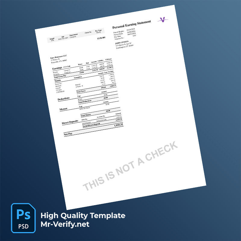 Euro-Homecare-LLC-earning-statement-word-and-pdf-template-m Euro Homecare LLC earning statement word and pdf template