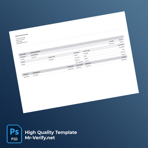 Parkview Health Systems earning statement word and pdf template