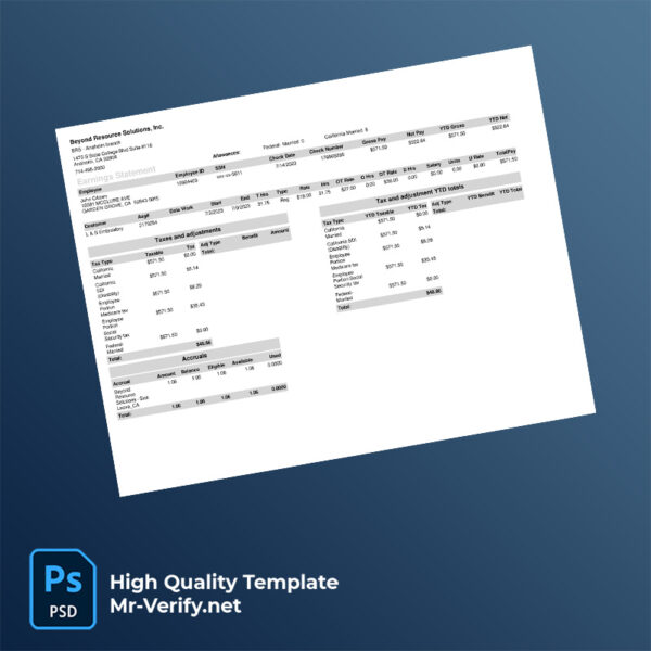 Beyond Resource Solutions Inc earning statement word and pdf templat