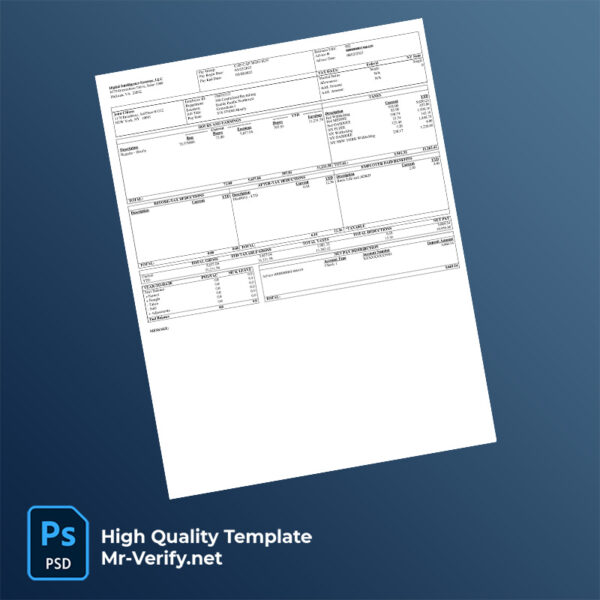 Digital Intelligence Systems LLC earning statement word and pdf template