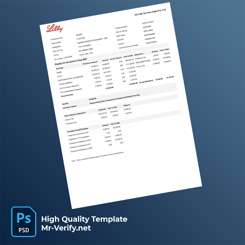 Eli-Lilly-Services-India-Pvt-Ltd-payslip-word-and-pdf-template-1 Eli Lilly Services India Pvt Ltd payslip word and pdf template