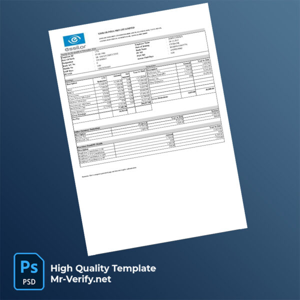 Essilor India Private Limited payslip word and pdf template