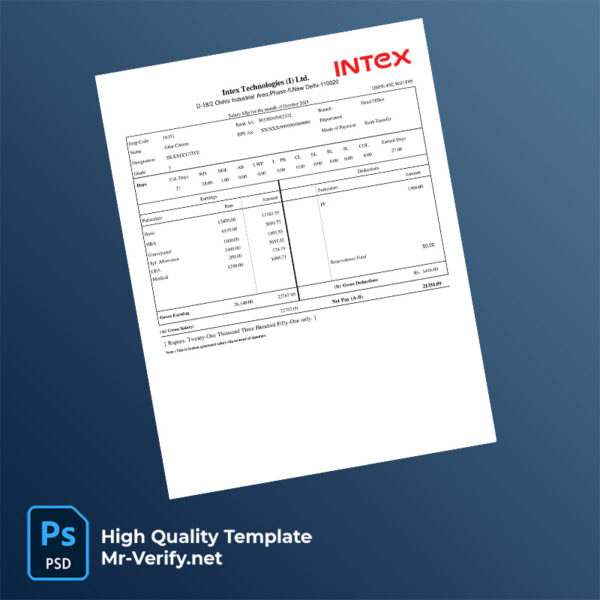 Intex Technologies (I) Ltd payslip word and pdf template