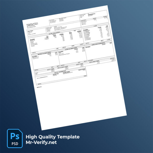 RR Donnelley and Sons Co pay stub word and pdf template