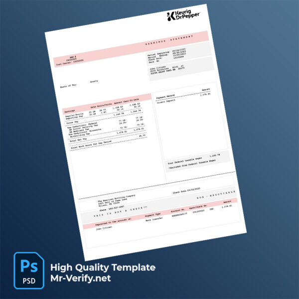 The-American-Bottling-Company--earning-statement-word-and-pdf-template-21 The American Bottling Company earning statement word and pdf template