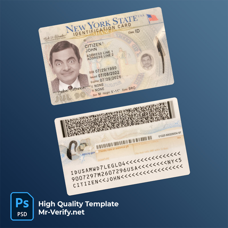 USA-New-York-ID-card-2022-present USA New York ID card Psd Template (2022-present)