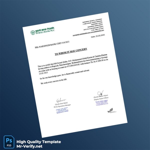 Bangladesh Pubali Bank Statement Template in Word and PDF formats