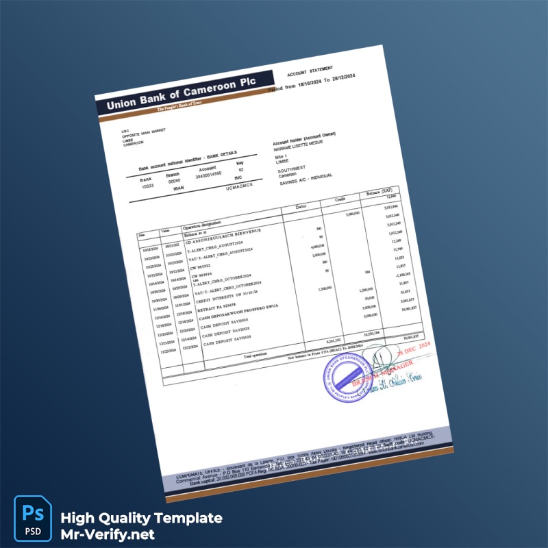 Cameroon Union Bank of Cameroon Plc Bank Statement Template in Word and PDF formats page 2 Cameroon Union Bank of Cameroon Plc Bank Statement Template in Word and PDF formats page 2