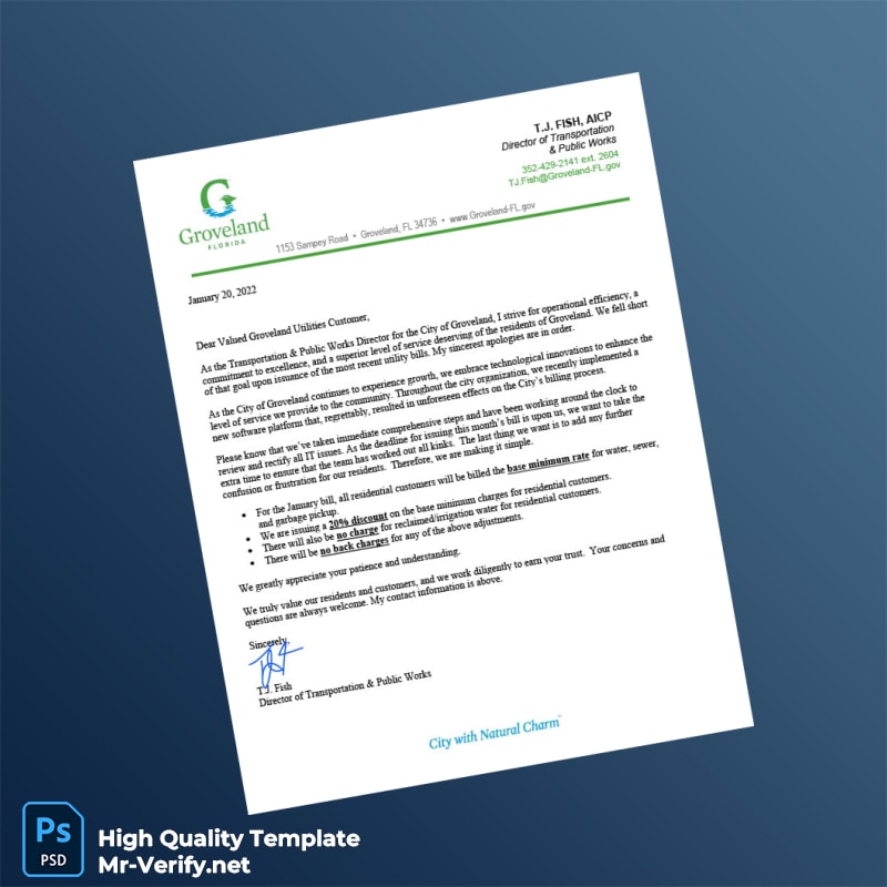 Credit Card Editable Statement Template in Word and PDF formats page 3 Credit Card Editable Statement Template in Word and PDF formats page 3