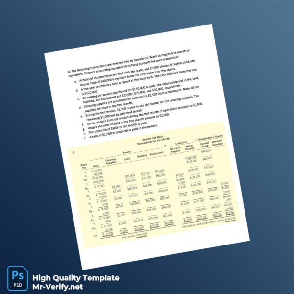 Editable Class Activity - Accounting Equation Template in Word and PDF formats