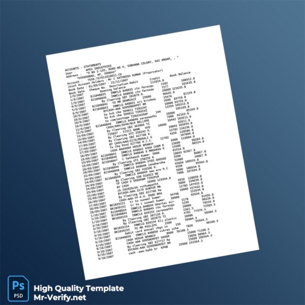 India Apex Industries Bank Statement Template in Word and PDF formats
