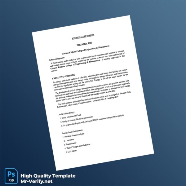 India Editable Energy Audit Report Template in Word and PDF formats