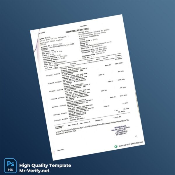 India Indian Bank Account Statement Template in Word and PDF formats India Indian Bank Account Statement Template in Word and PDF formats