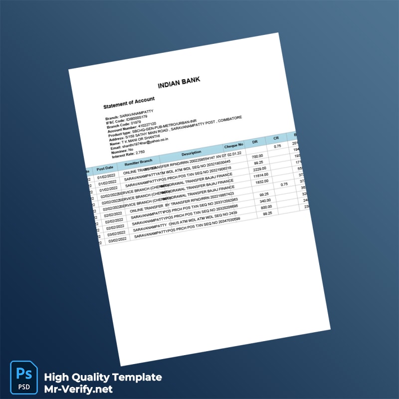 India Indian Bank Statement Template in Word and PDF formats India Indian Bank Statement Template in Word and PDF formats