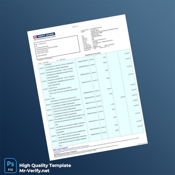 India Mayur Bank Statement Template in Word and PDF formats