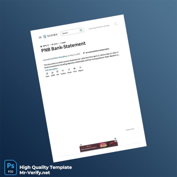 India PNB Bank Statement Template in Word and PDF formats