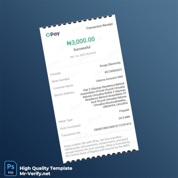Nigeria Enugu Electricity Editable Utility Bill Template in Word and PDF formats Nigeria Enugu Electricity Editable Utility Bill Template in Word and PDF formats