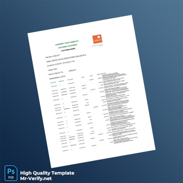 Nigeria GTBank Customer Statement Template in Word and PDF formats